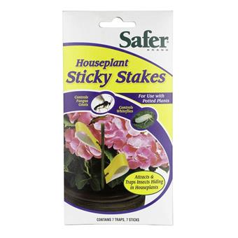 Sticky Traps