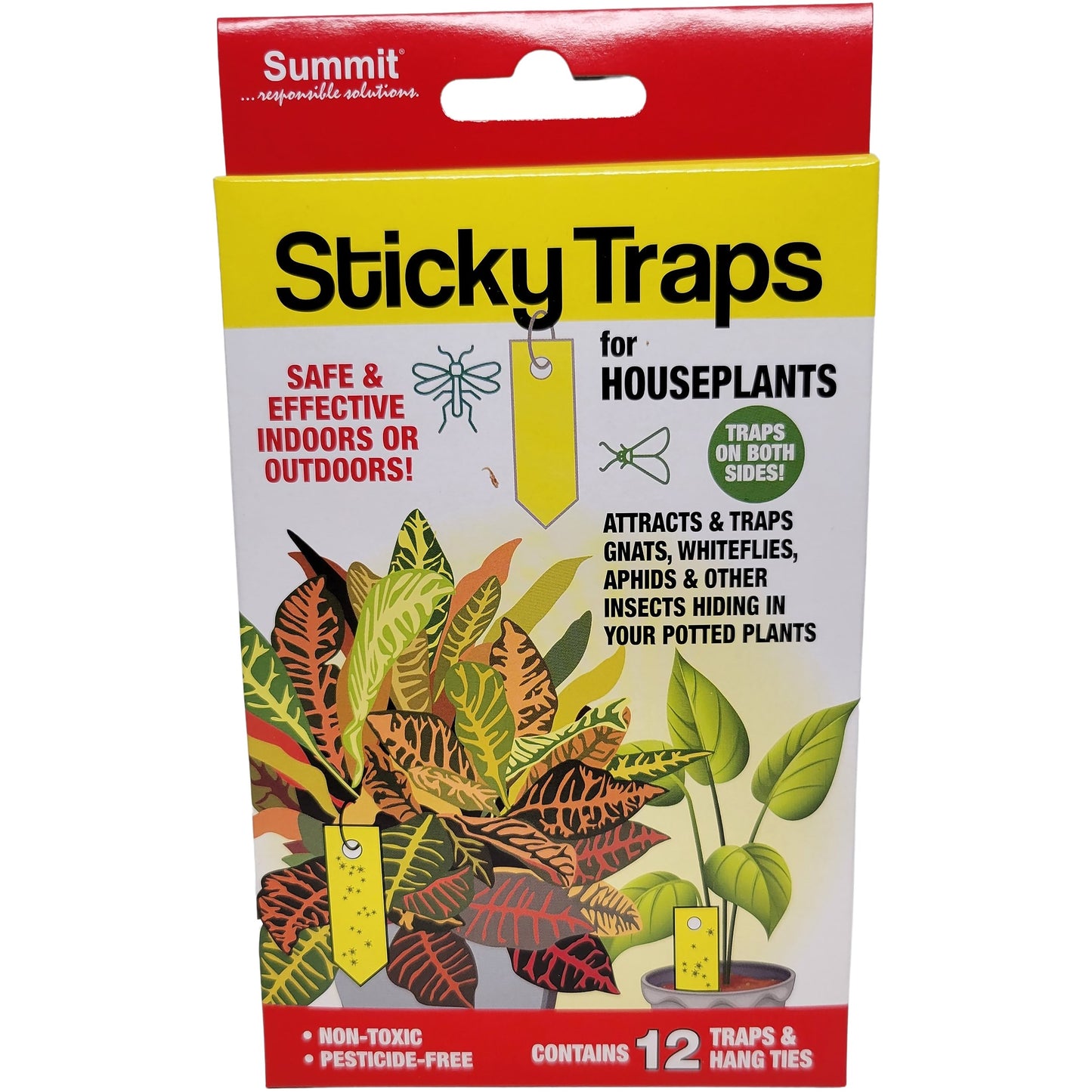 Sticky Traps