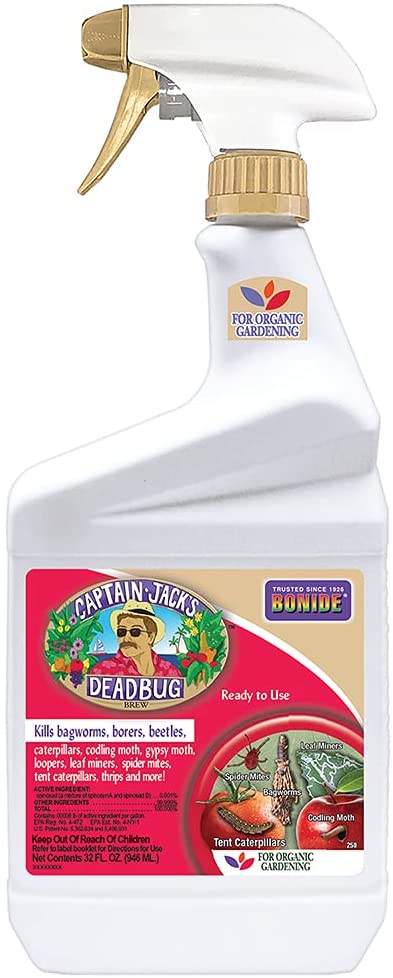 Captain Jack's Dead Bug Brew