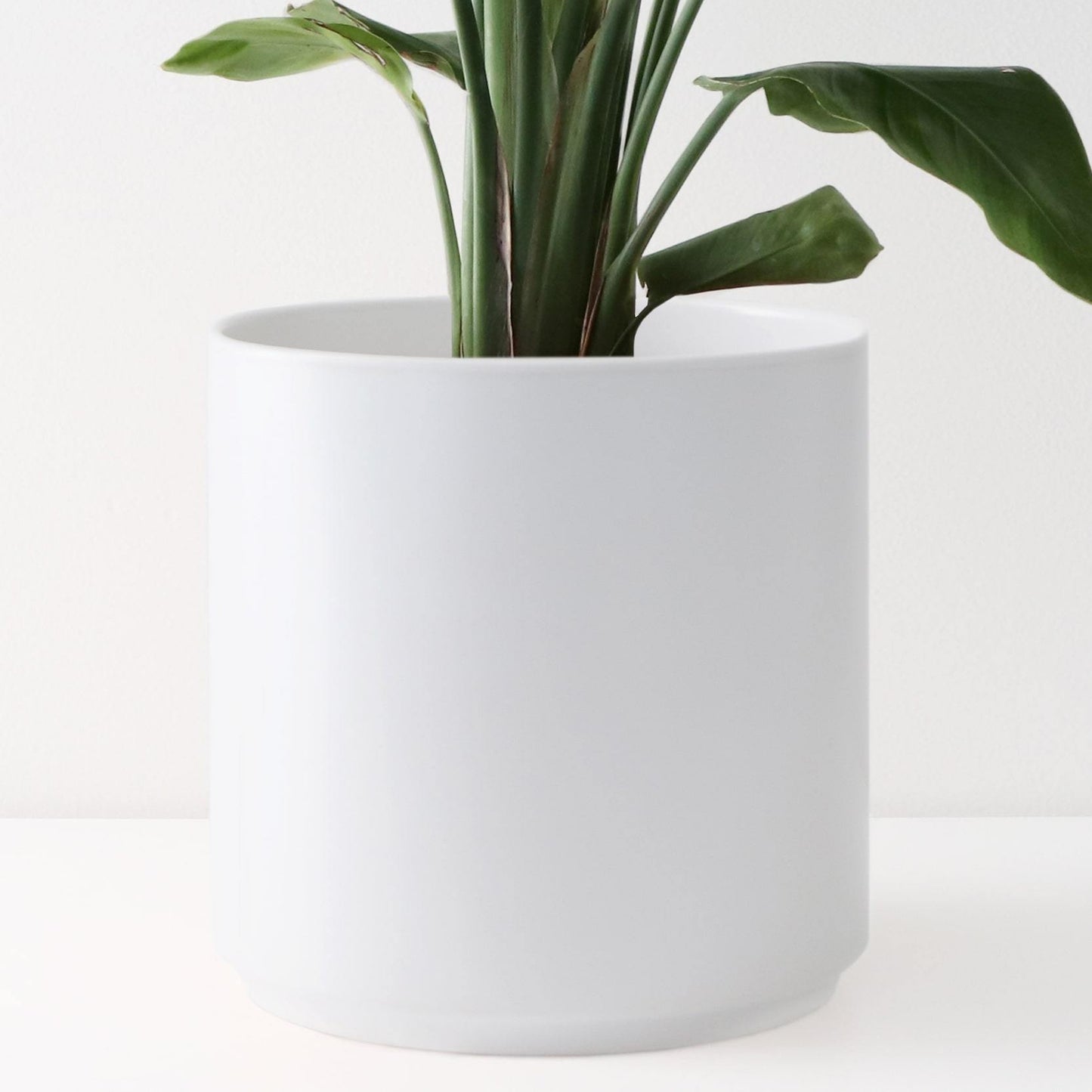 Modern Ceramic Planter (5"-15")