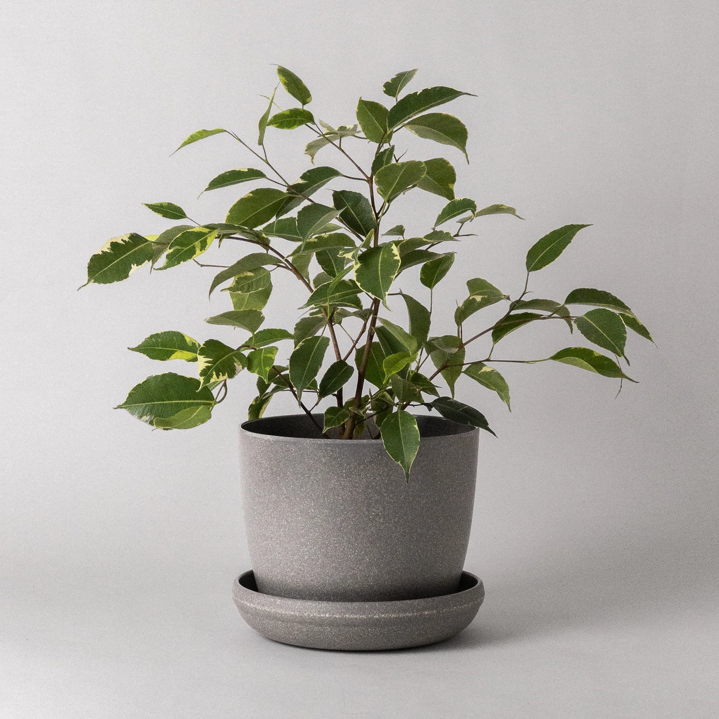Bio-Fiber Earth Planter 7"