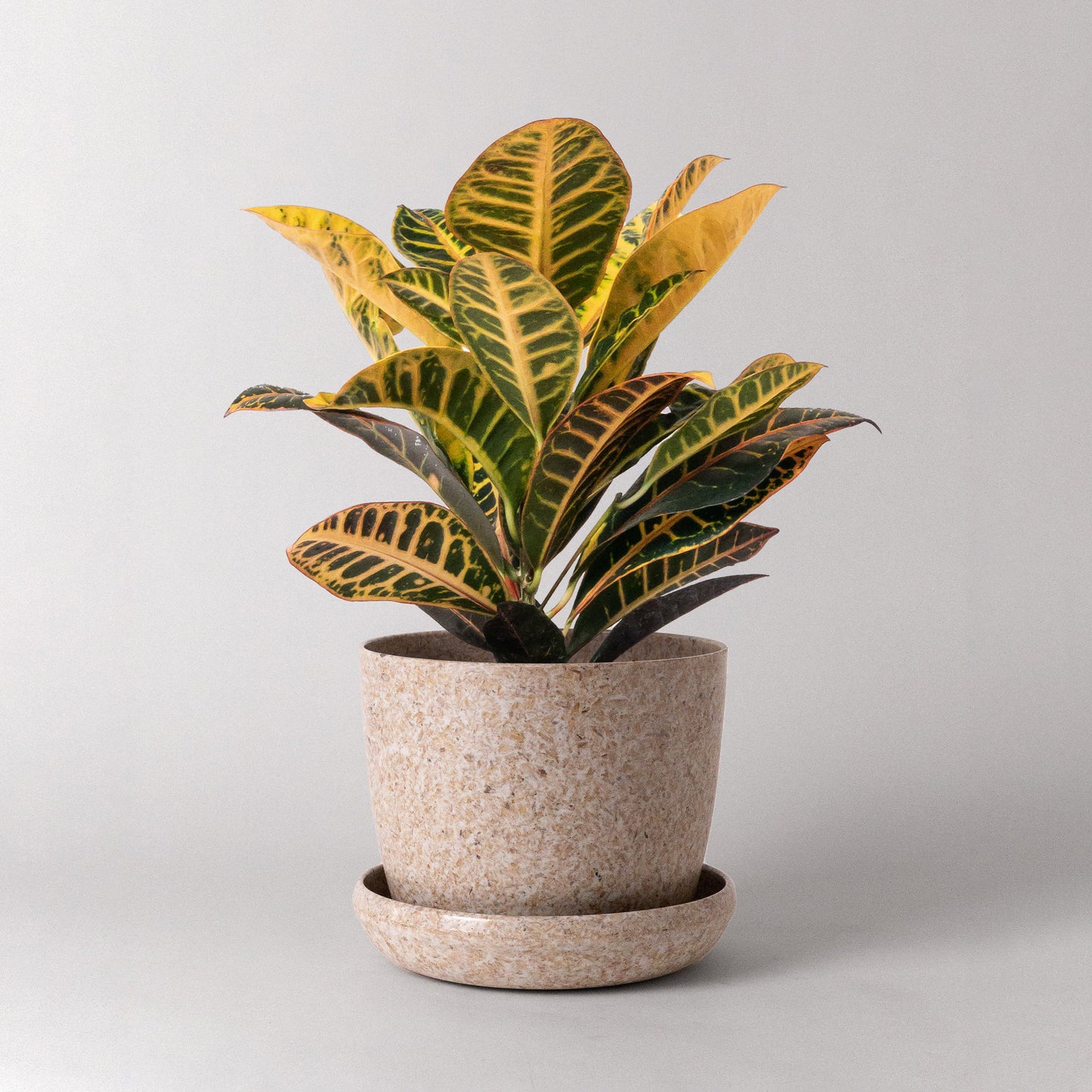 Bio-Fiber Earth Planter 7"