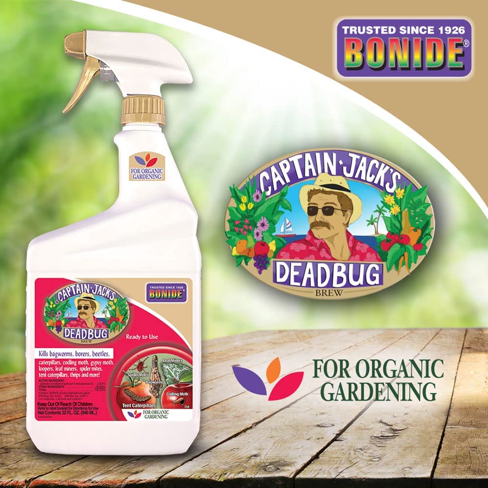 Captain Jack's Dead Bug Brew