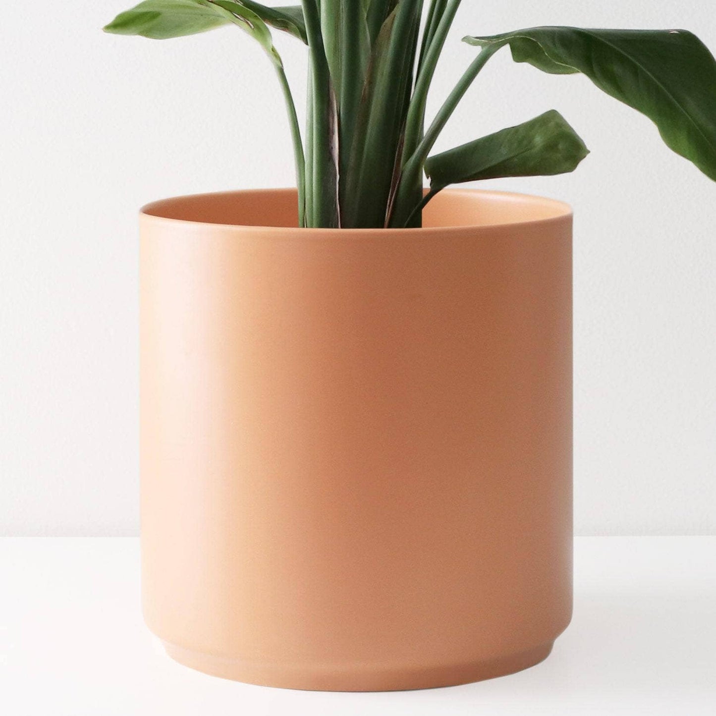 Modern Ceramic Planter (5"-15")