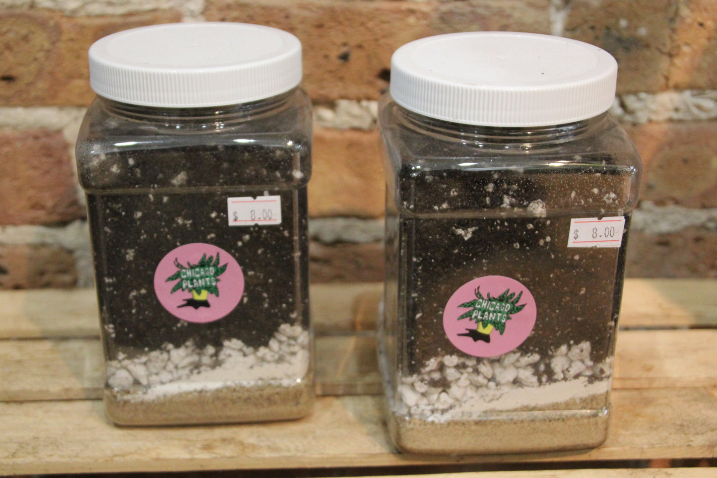 Succulent & Cactus Soil Mix