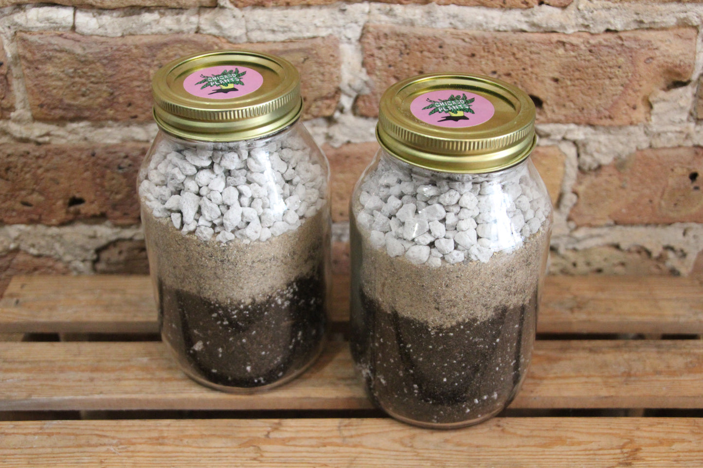 Succulent & Cactus Soil Mix