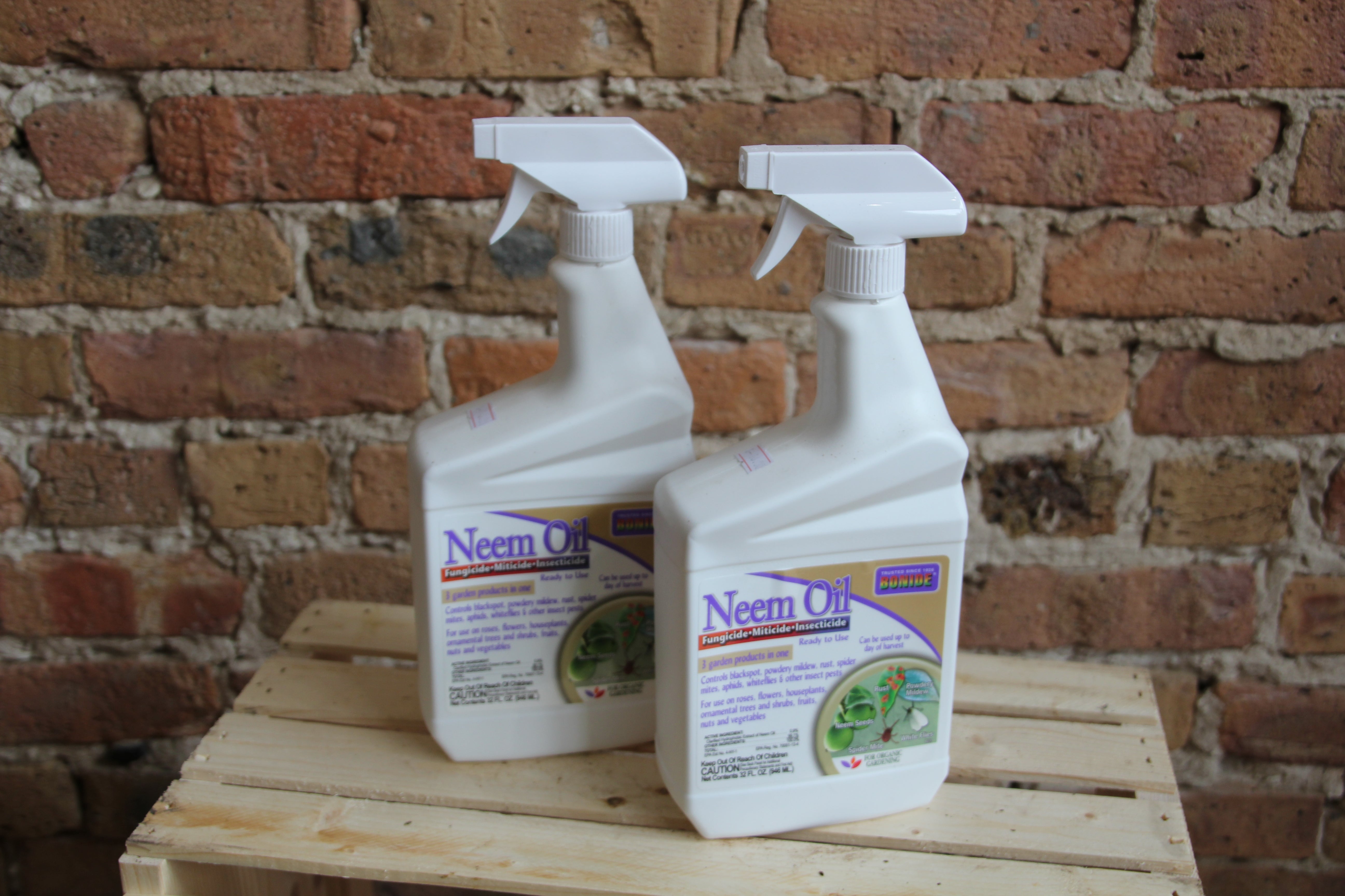 neem oil spray for garden Bonide Neem Oil – Chicago Plants