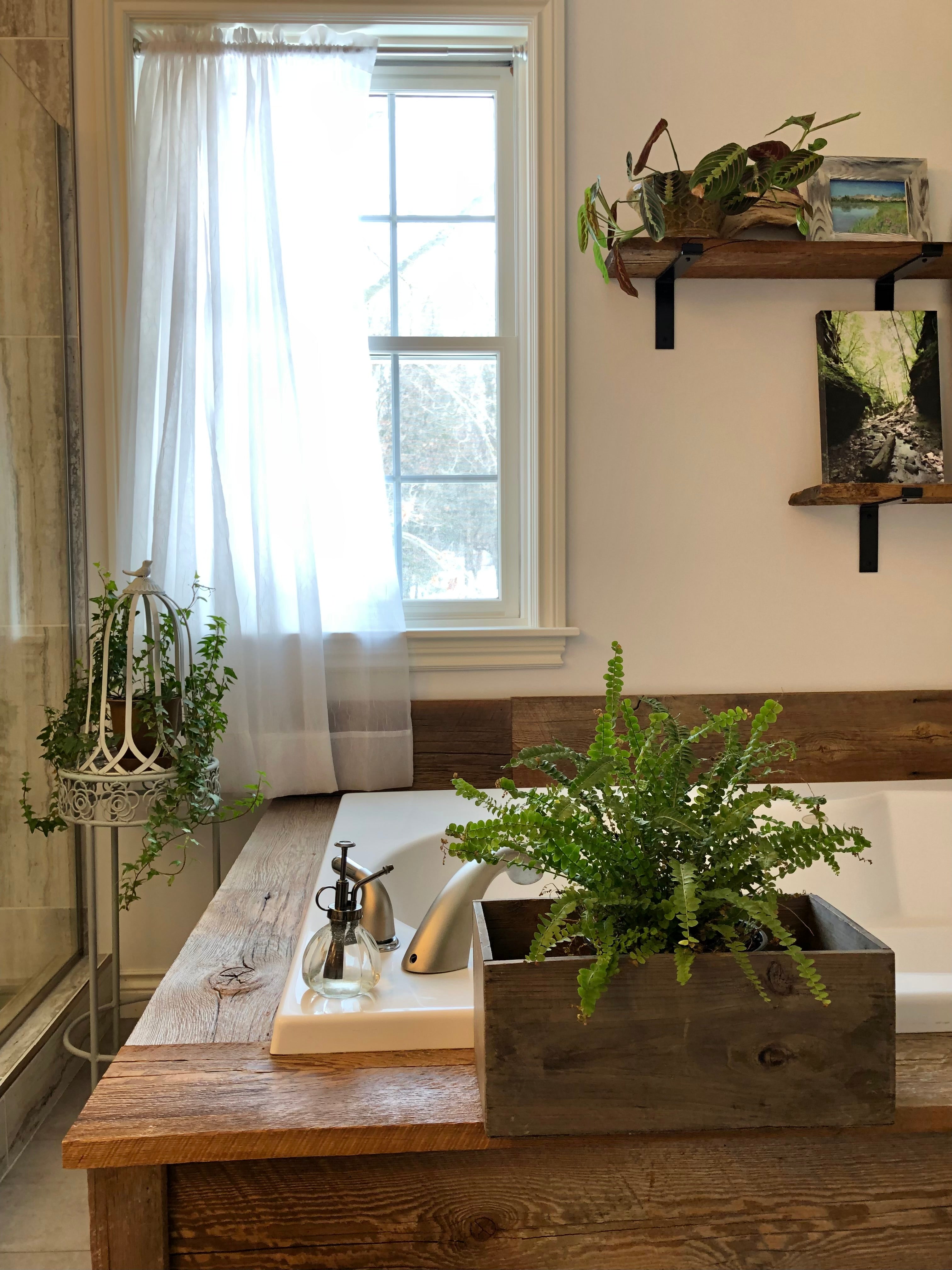 Winter Plant Care Chicago Plants winter-plant-care-chicago-plants