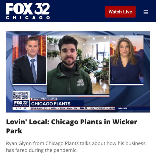 Fox 32 Lovin' Local: Chicago Plants in Wicker Park