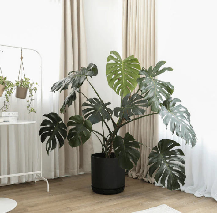 Signature Stone Planter (12")