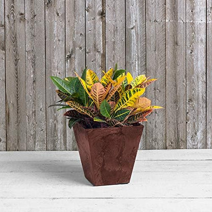 Ella Outdoor & Indoor Planter