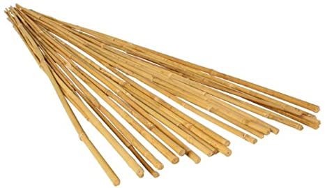 Bamboo Support Stake