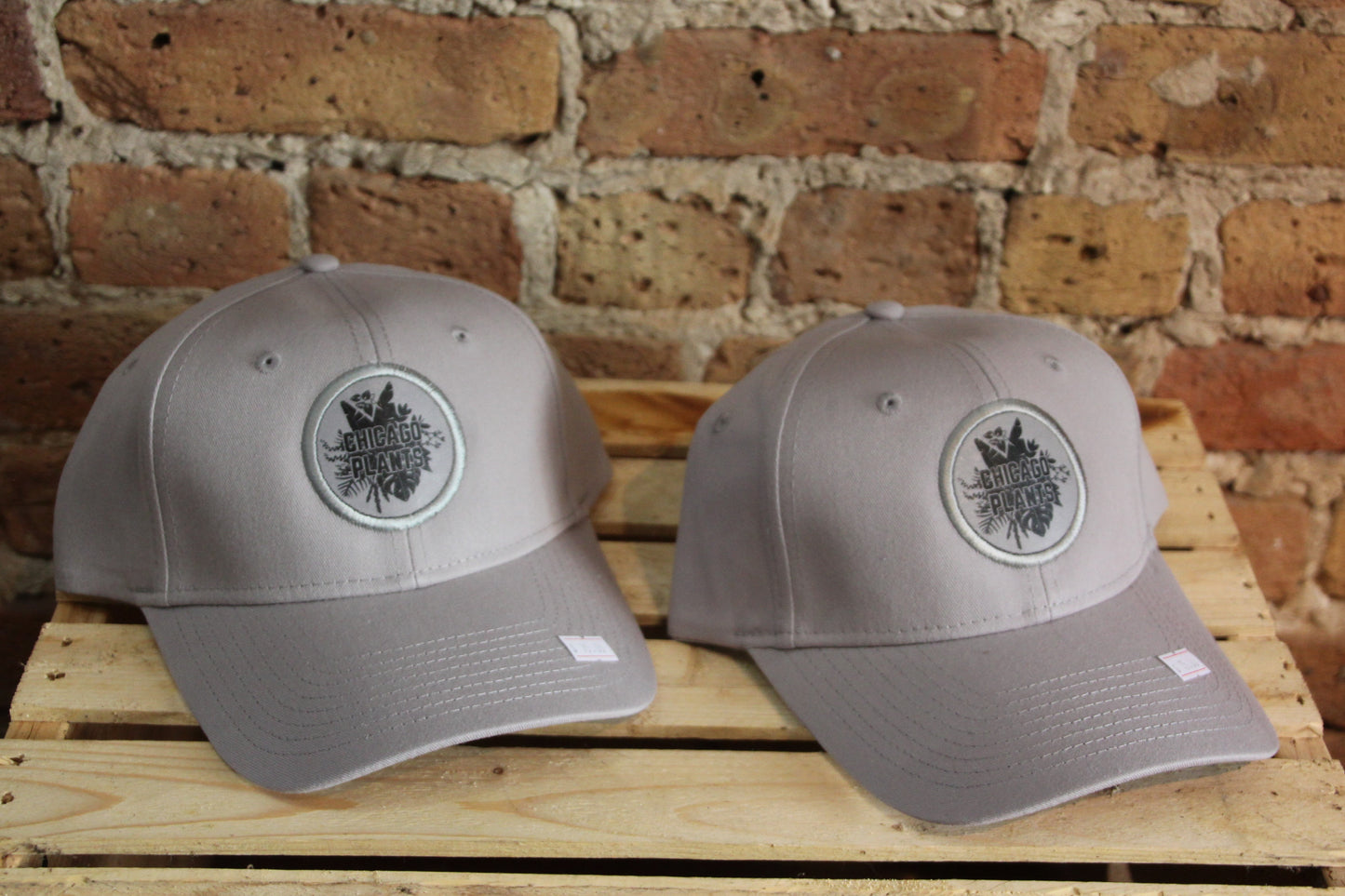 Chicago Plants Hat