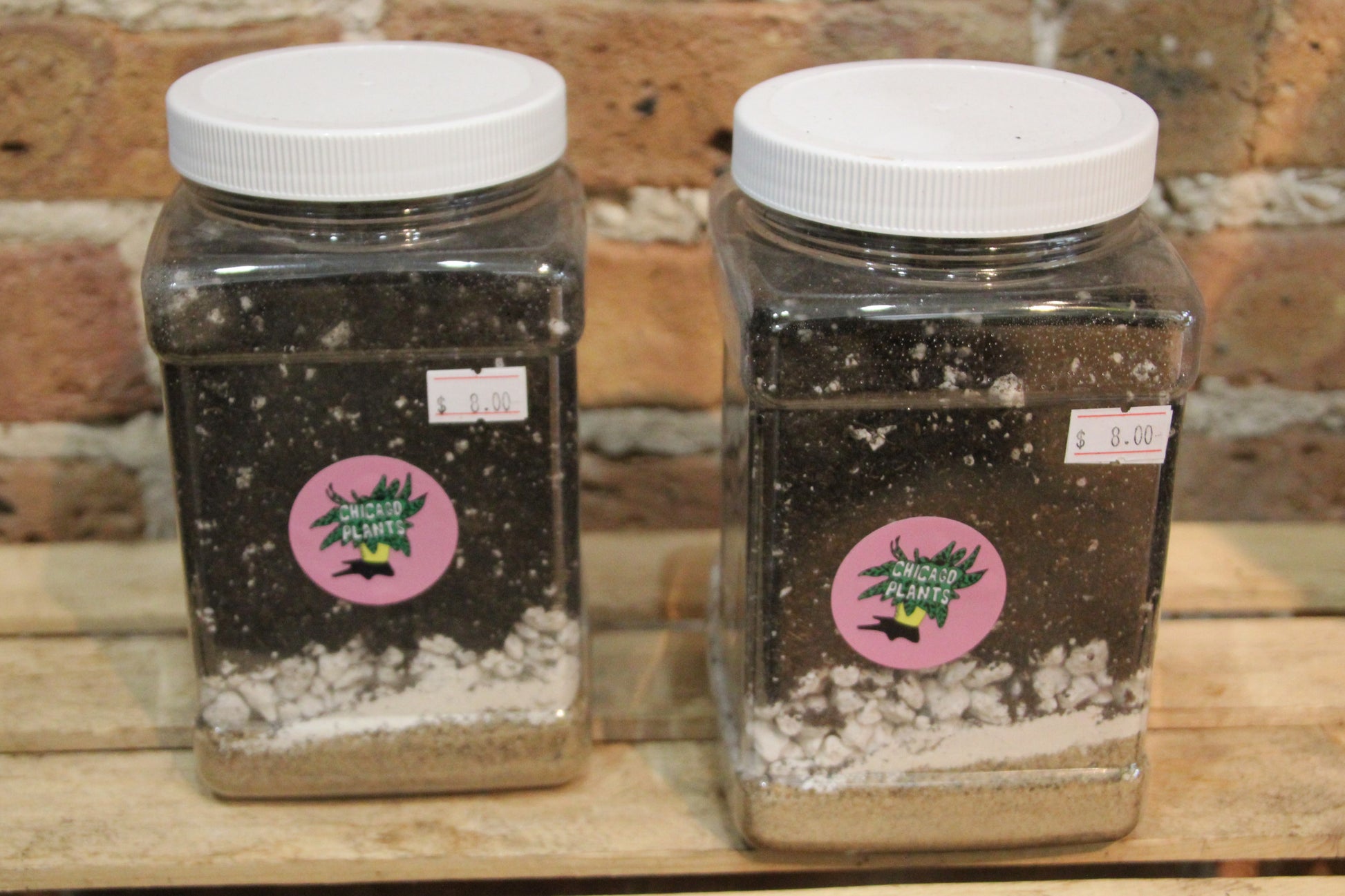 where to buy cactus soil mix Succulent & Cactus Soil Mix – Chicago Plants