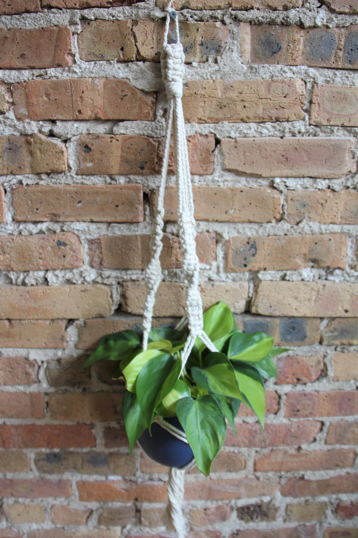Macrame Hanger