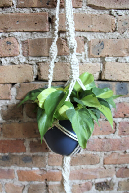 Macrame Hanger