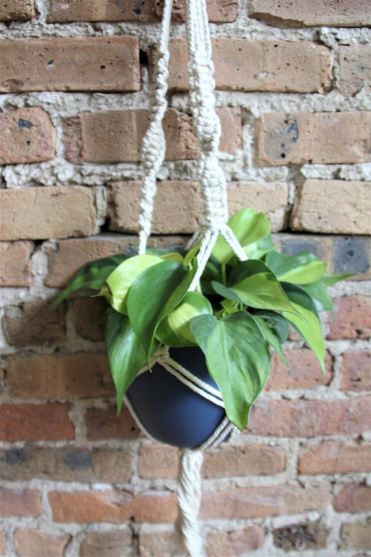 Macrame Hanger