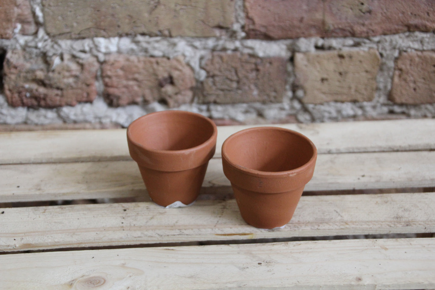 Terracotta Pots