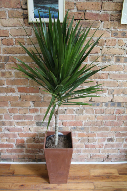 Ella Outdoor & Indoor Planter