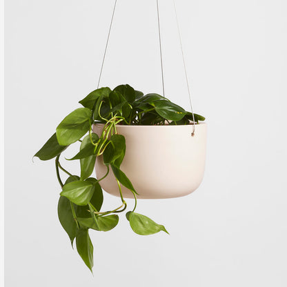 Ceramic Hanging Planter (8")