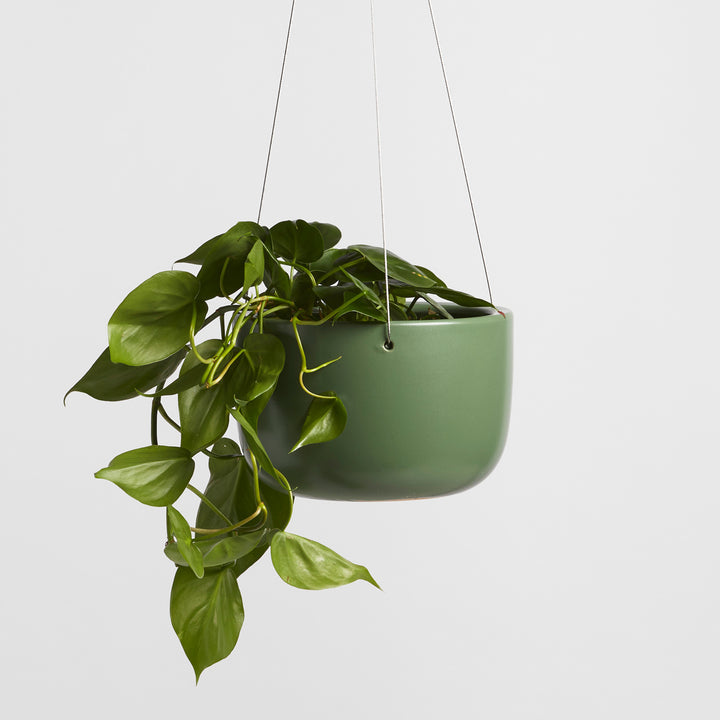 Ceramic Hanging Planter (8")