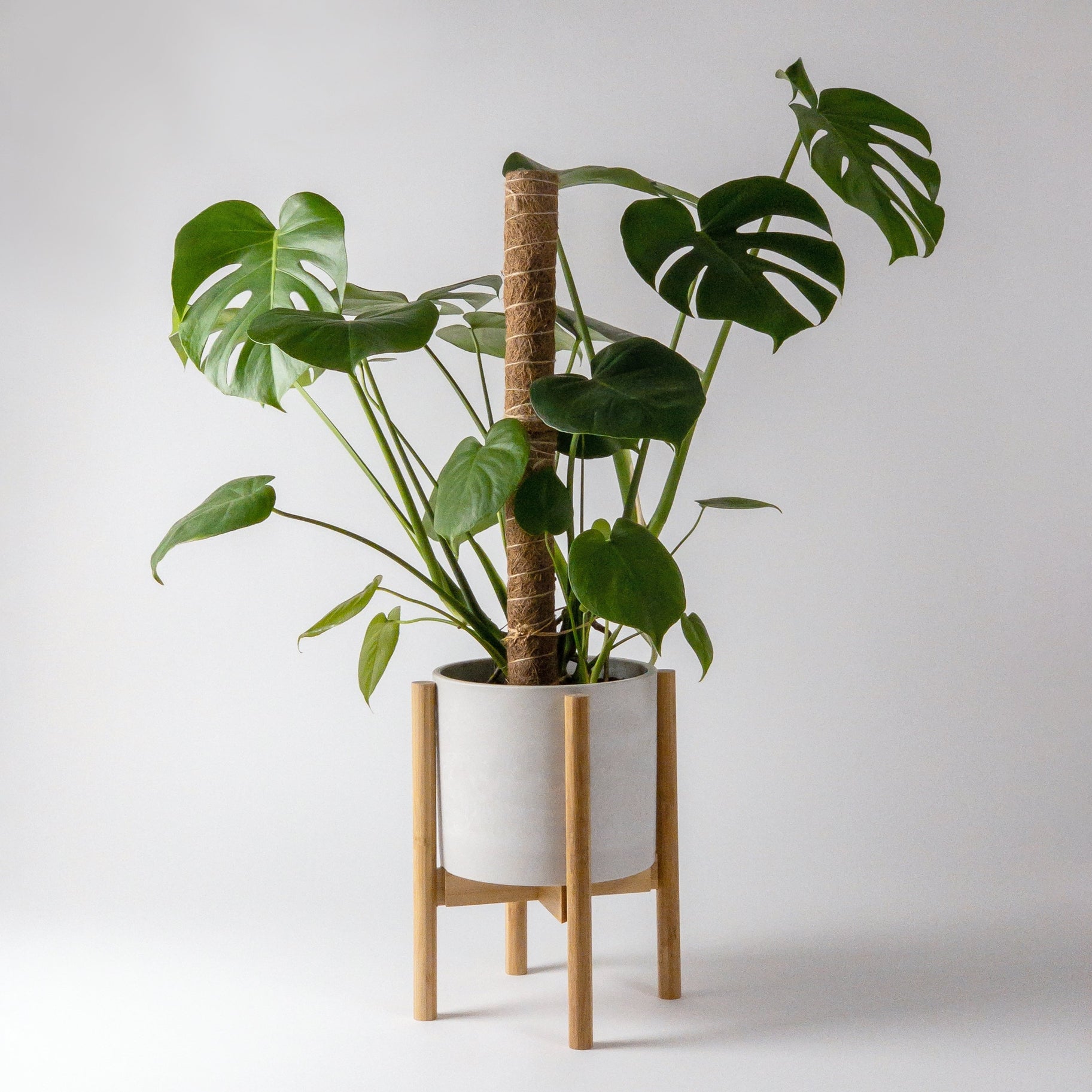 coco coir pole for monstera Coco Coir Pole