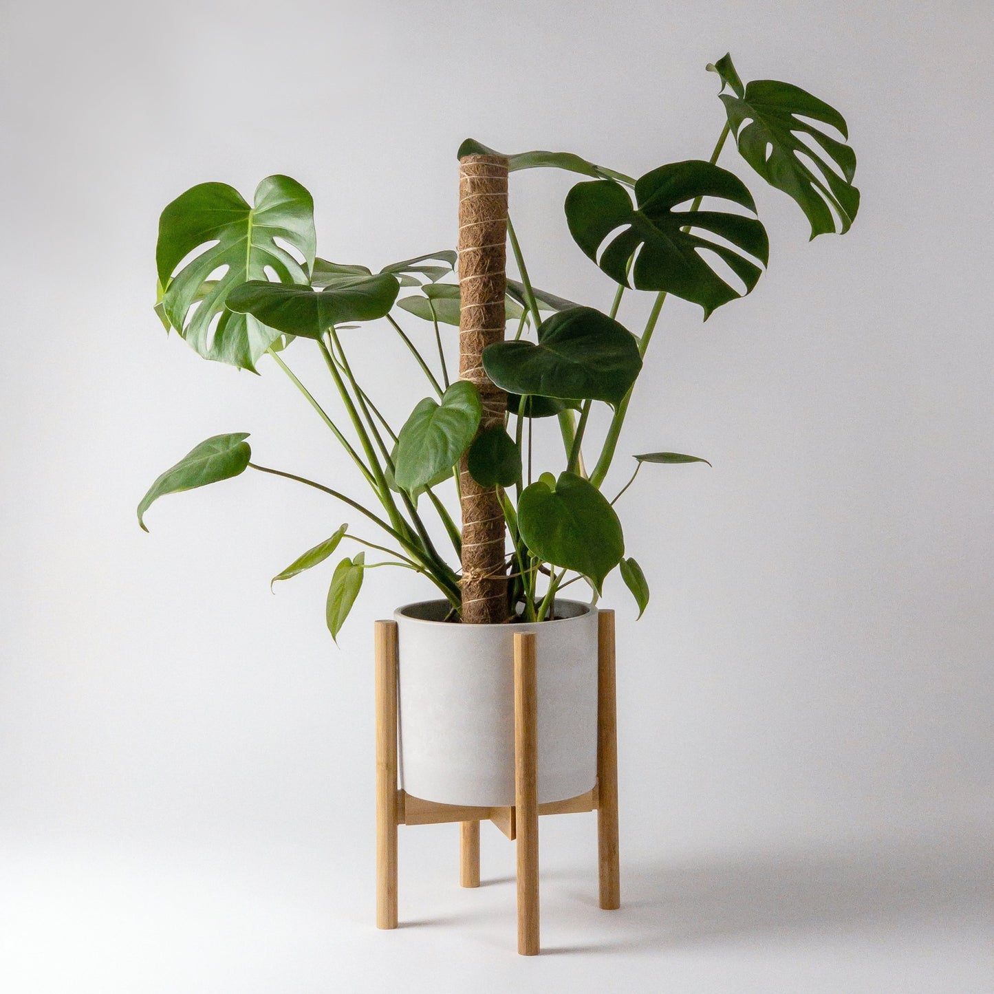 Coco Coir Pole