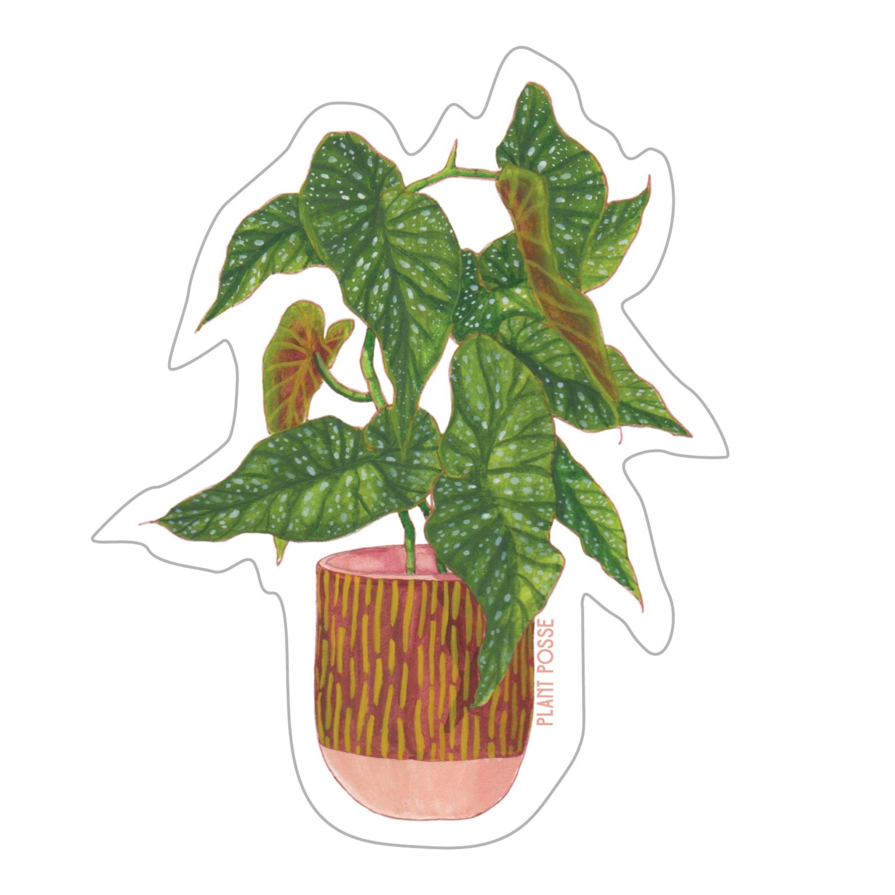 The Plant Farm Zig Zag Plant Sticker
